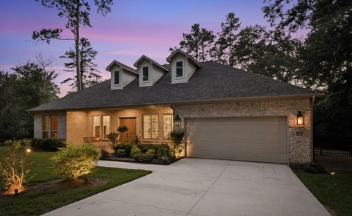 House in Spring, Texas, United States 1