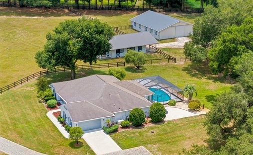 Farm Ranch in Reddick, Florida, United States 1