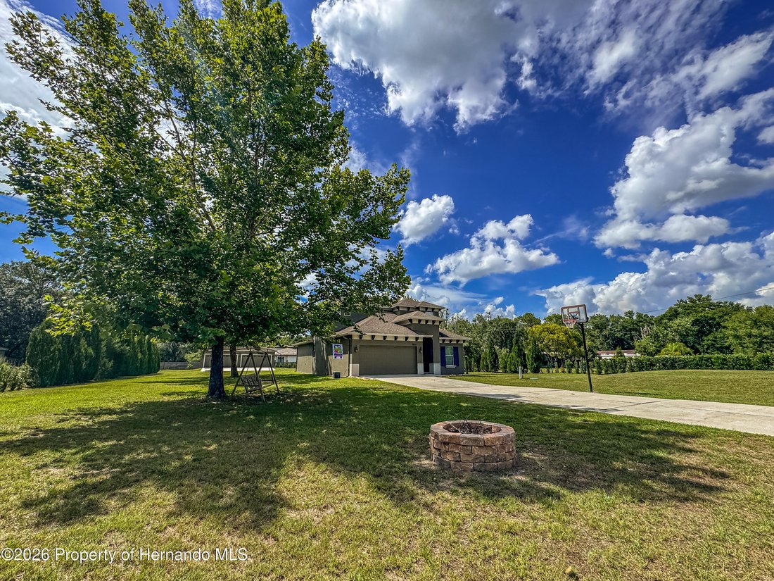 House in Land O' Lakes, Florida, United States 1 - 18235704