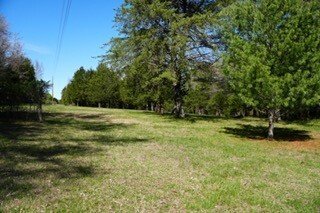 College Grove, Tennessee, United States 2 - 18243560