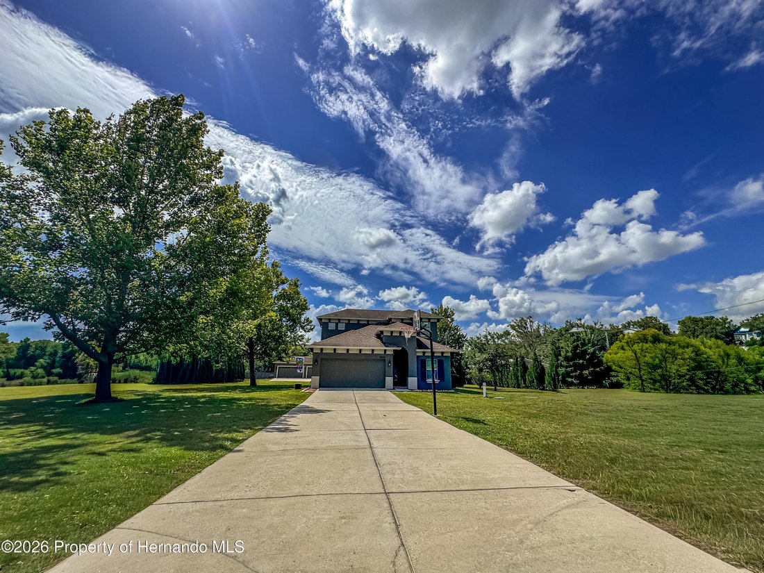 House in Land O' Lakes, Florida, United States 2 - 18235704