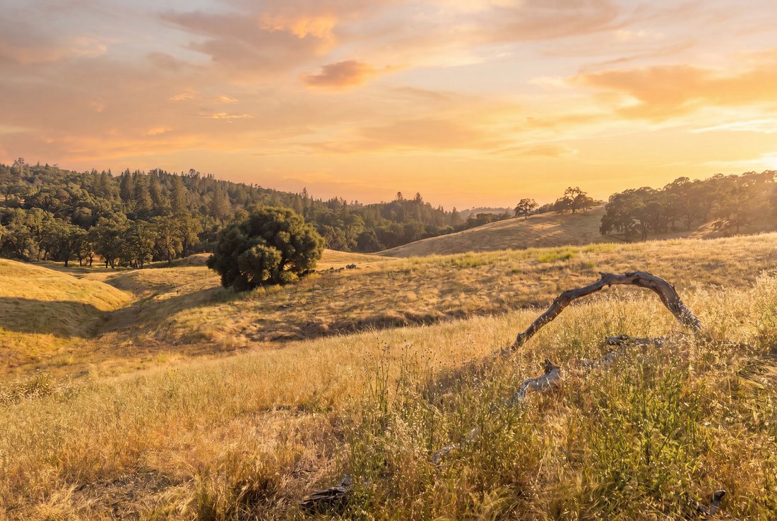Apartment in Sutter Creek, California, United States 2 - 18246884