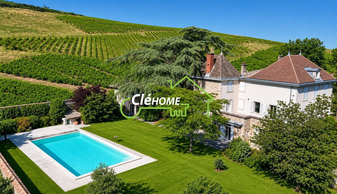 House in Quincie-en-Beaujolais, Auvergne-Rhône-Alpes, France 2 - 18246826