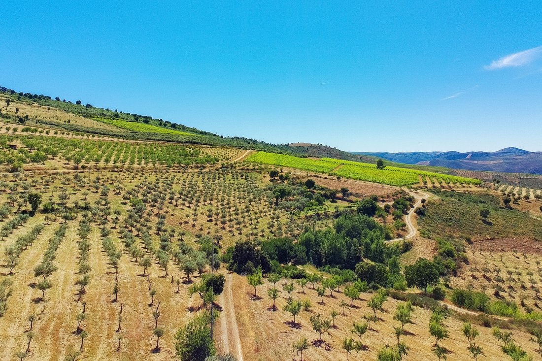 Farm Ranch in Freixo de Espada a Cinta e Mazouco, Braganca District, Portugal 2 - 18246565