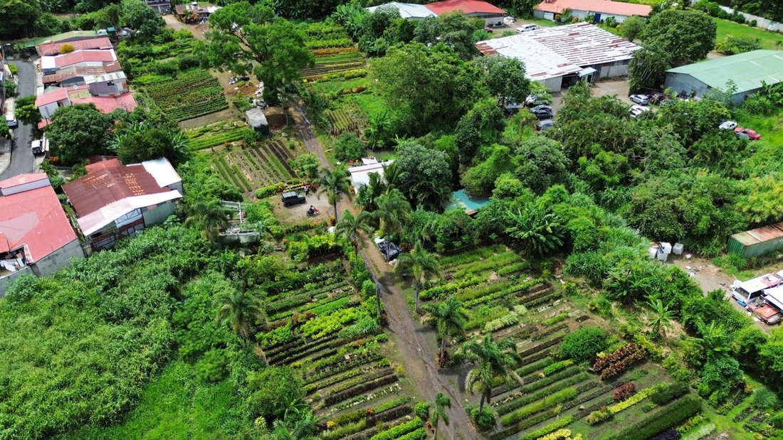 Terreno a San José, Provincia di Guanacaste, Costa Rica 1 - 18248597