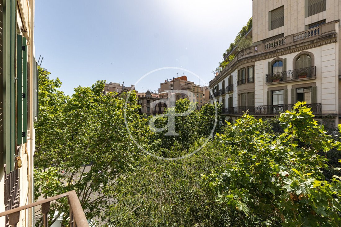 Apartment in Eixample, Barcelona, Spain 3 - 18248408