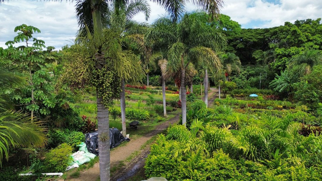 Terreno a San José, Provincia di Guanacaste, Costa Rica 5 - 18248597