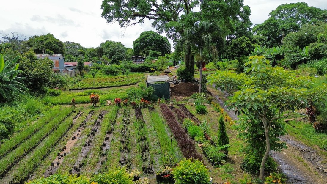 Terreno a San José, Provincia di Guanacaste, Costa Rica 4 - 18248597