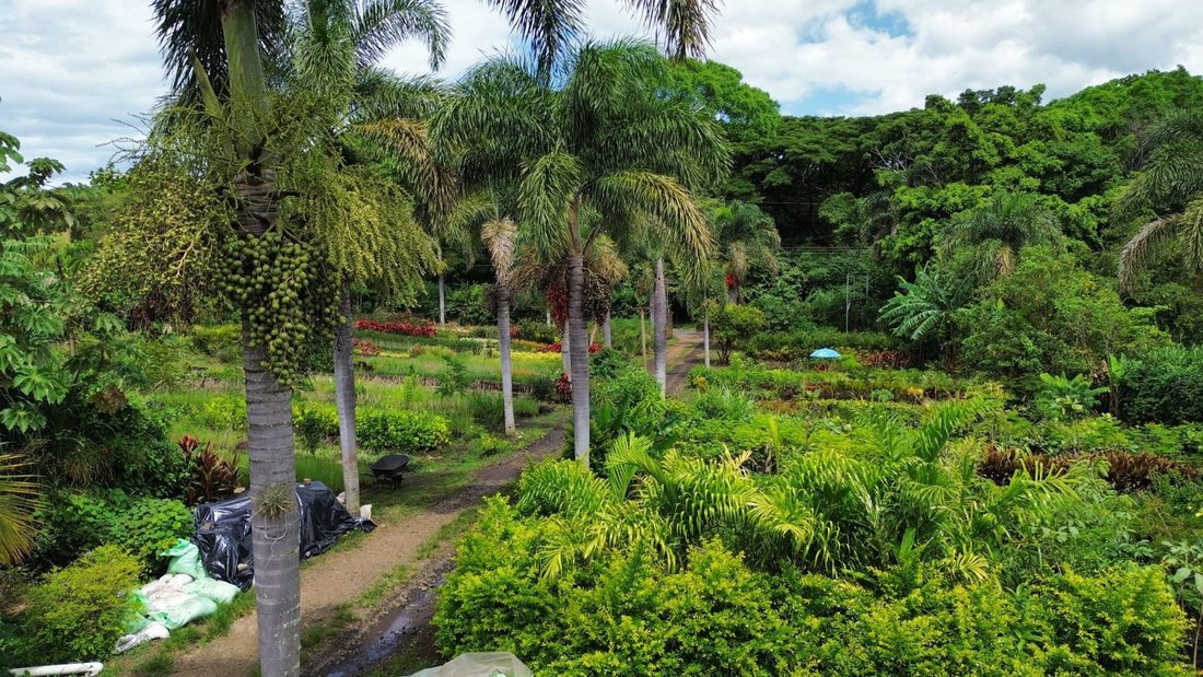 Terreno a San José, Provincia di Guanacaste, Costa Rica 3 - 18248597