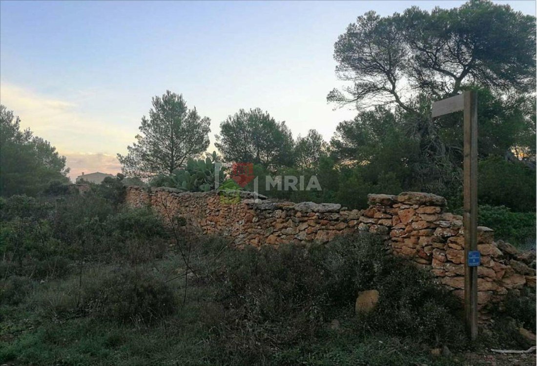 Land in Formentera, Balearic Islands, Spain 2 - 18241811