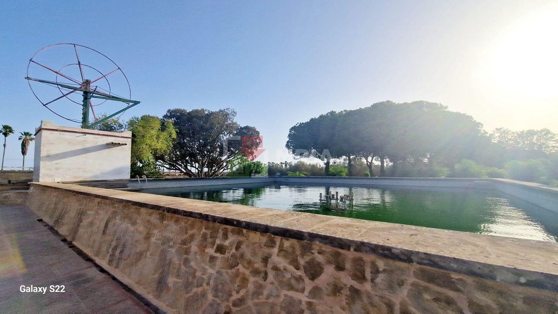 Land in ses Salines, Balearic Islands, Spain 4 - 18241850