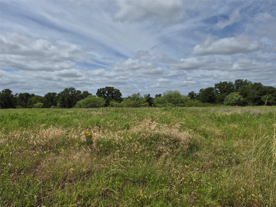 Land in Henrietta, Texas, United States 4 - 18247991
