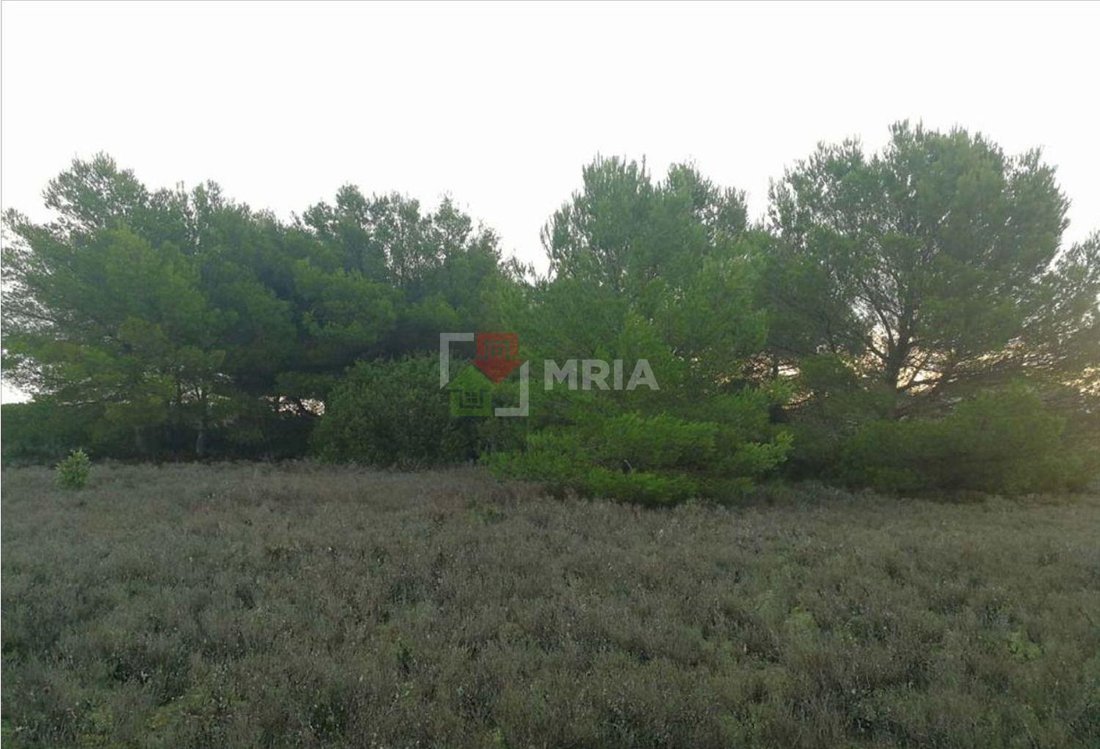 Land in Formentera, Balearic Islands, Spain 5 - 18241811