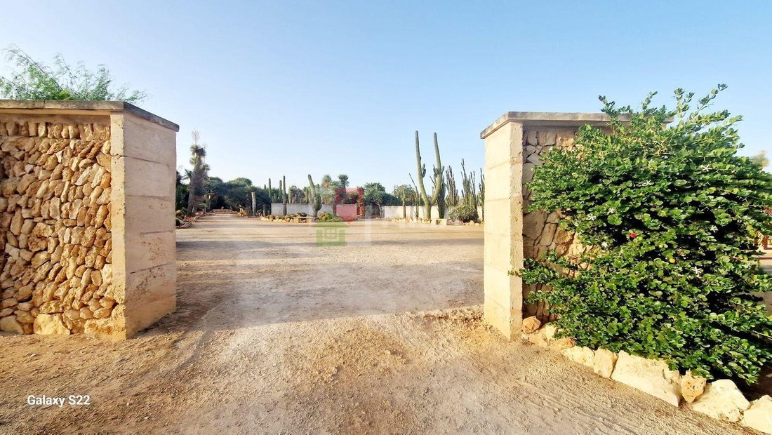 Land in ses Salines, Balearic Islands, Spain 2 - 18241850