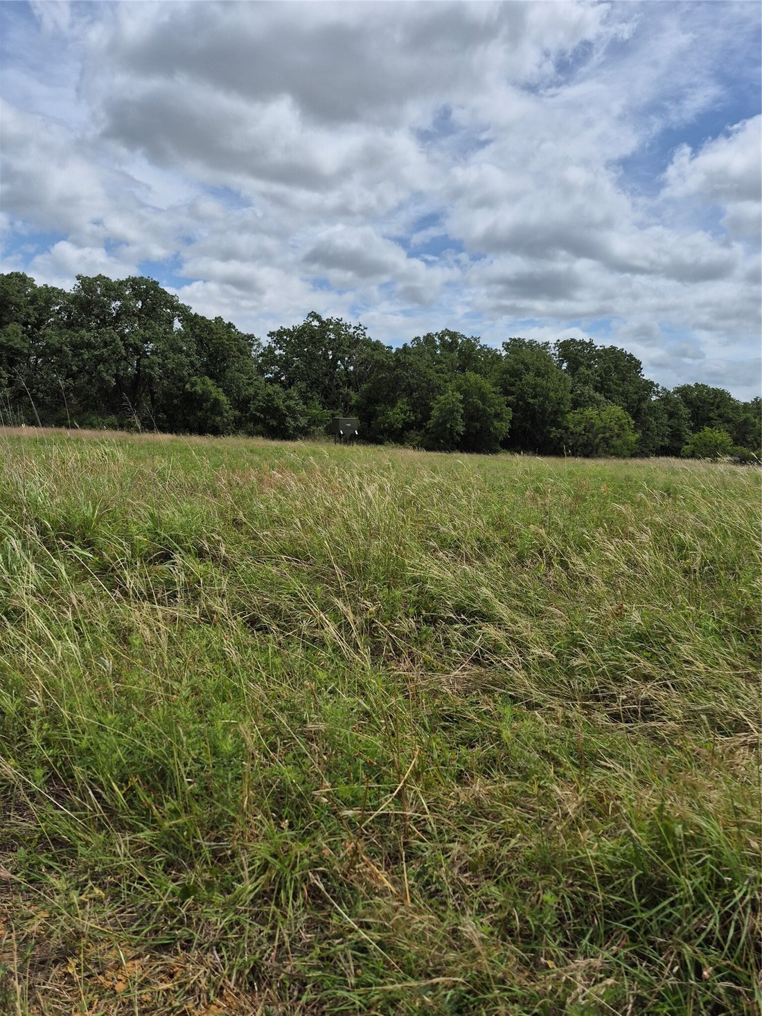 Land in Henrietta, Texas, United States 3 - 18247991