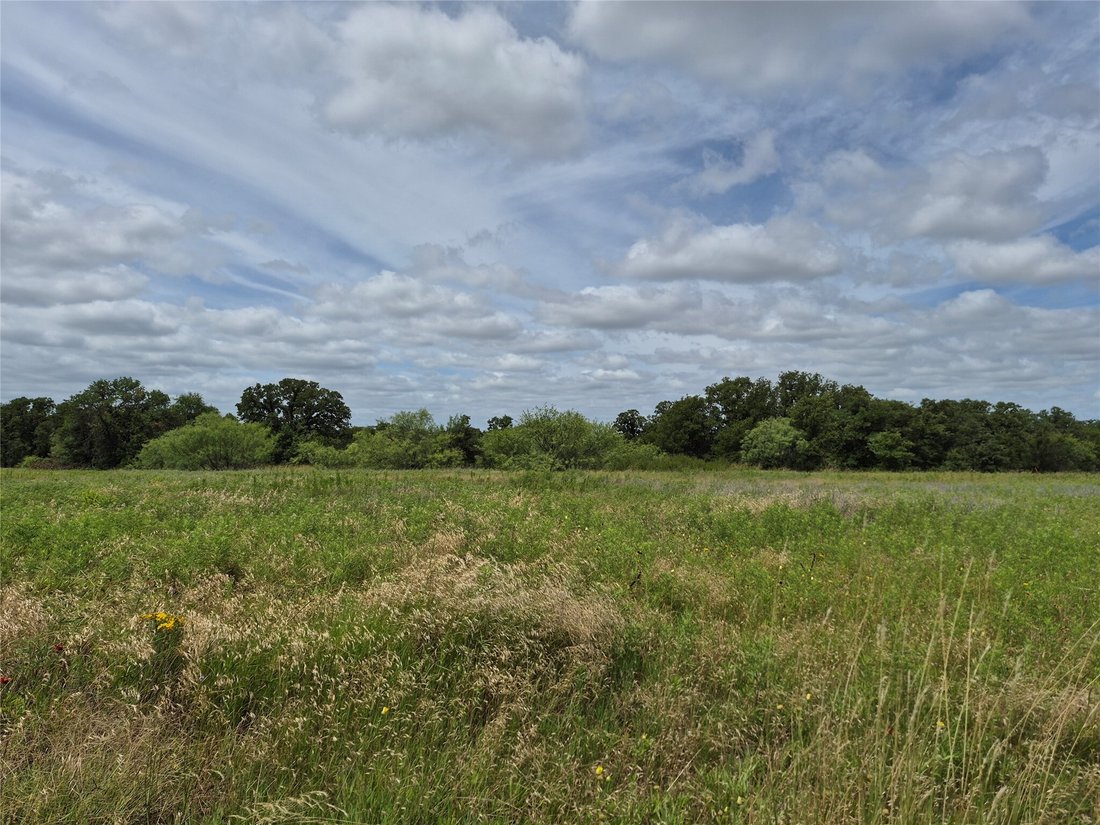 Land in Henrietta, Texas, United States 2 - 18247991