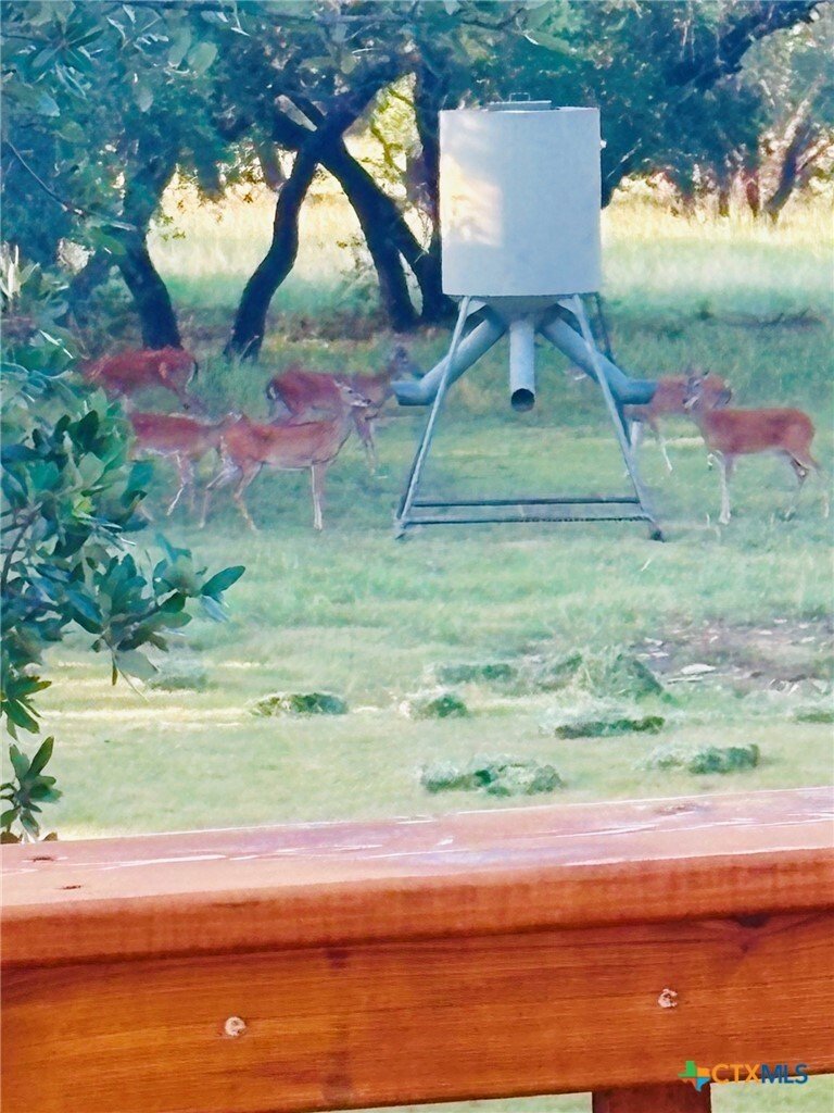Farm Ranch in The Grove, Texas, United States 3 - 16949145