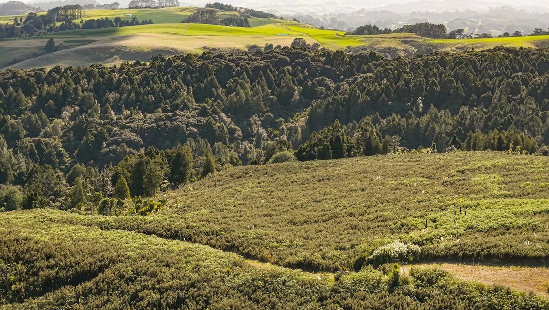 Farm Ranch in Taupaki, Auckland, New Zealand 5 - 18248397