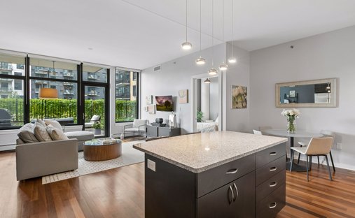 Condo in Minneapolis, Minnesota, United States 1