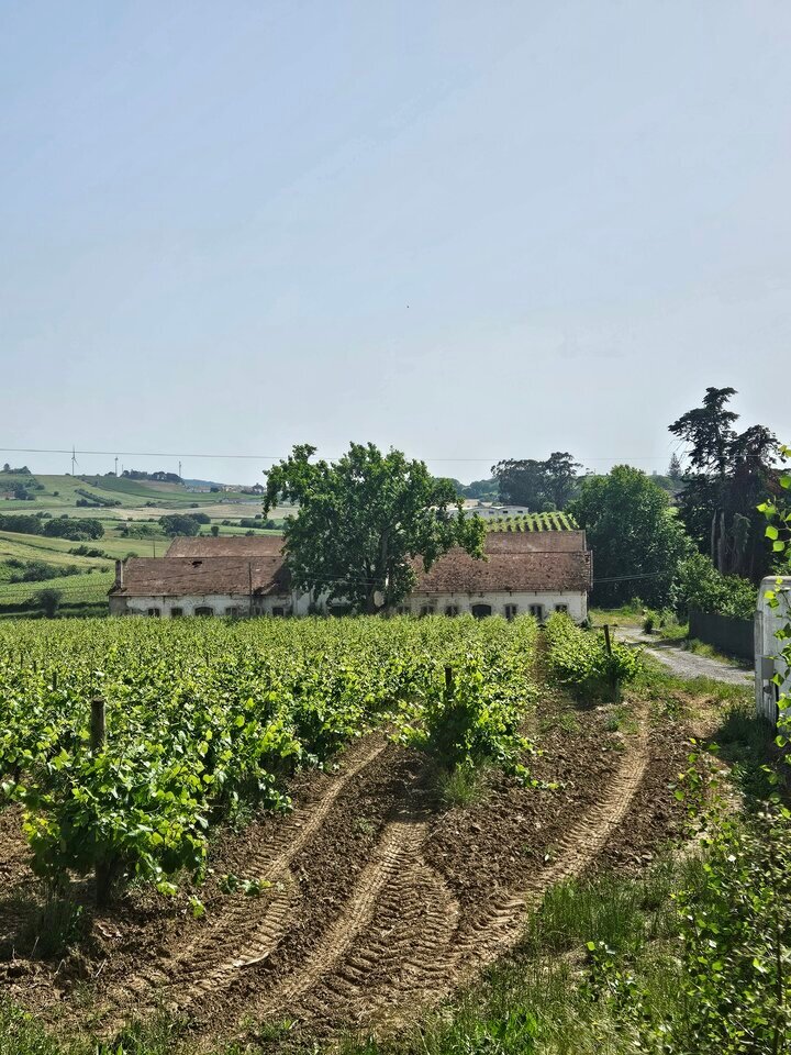 Farm Ranch in Aldeia Galega da Merceana, Lisbon, Portugal 5 - 18248607