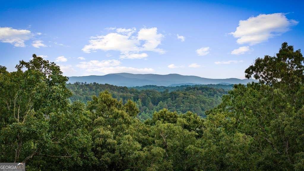 House in Mineral Bluff, Georgia, United States 2 - 18248773