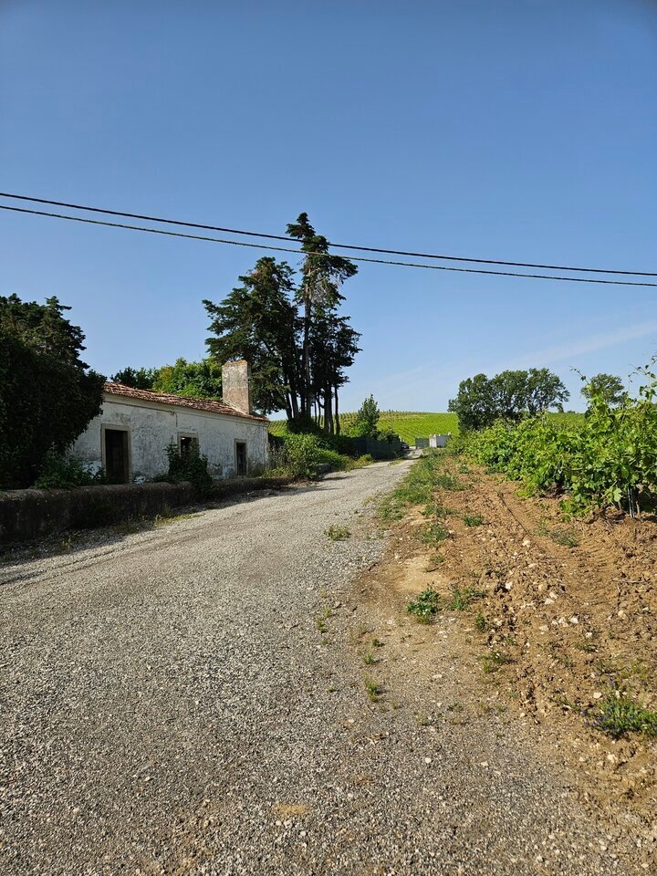 Farm Ranch in Aldeia Galega da Merceana, Lisbon, Portugal 4 - 18248607