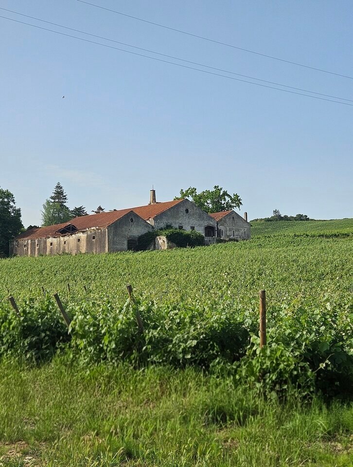 Farm Ranch in Aldeia Galega da Merceana, Lisbon, Portugal 1 - 18248607