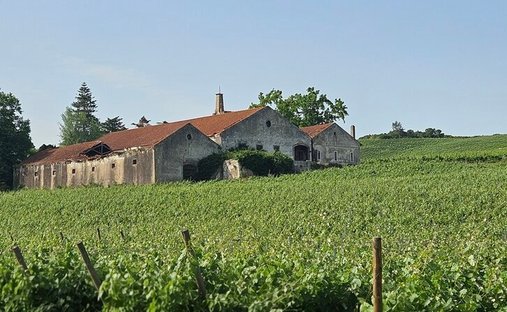Azienda agricola a Aldeia Galega da Merceana, Lisbona, Portogallo 1