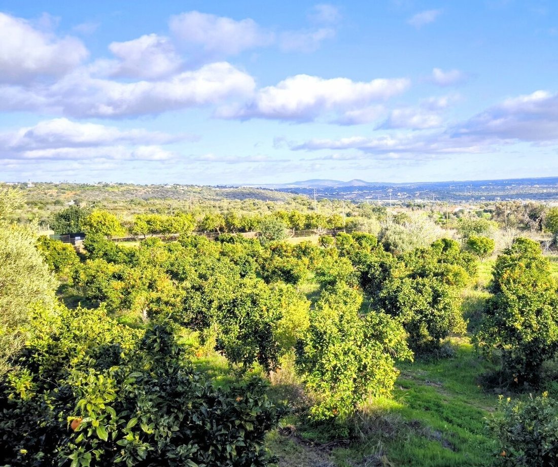 Land in Ferreiras, Algarve, Portugal 4 - 18248589