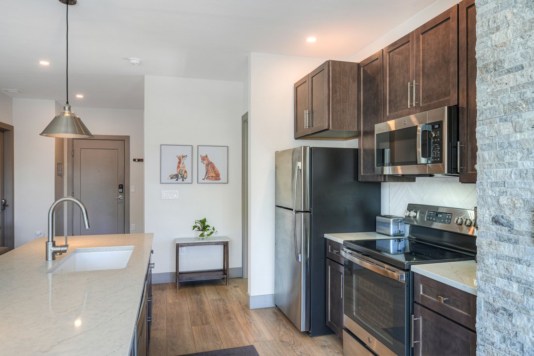 Condo in Silverthorne, Colorado, United States 3 - 18248834