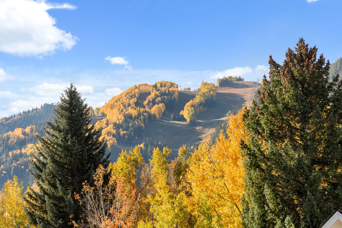 Aspen, Colorado, United States 5 - 18248718