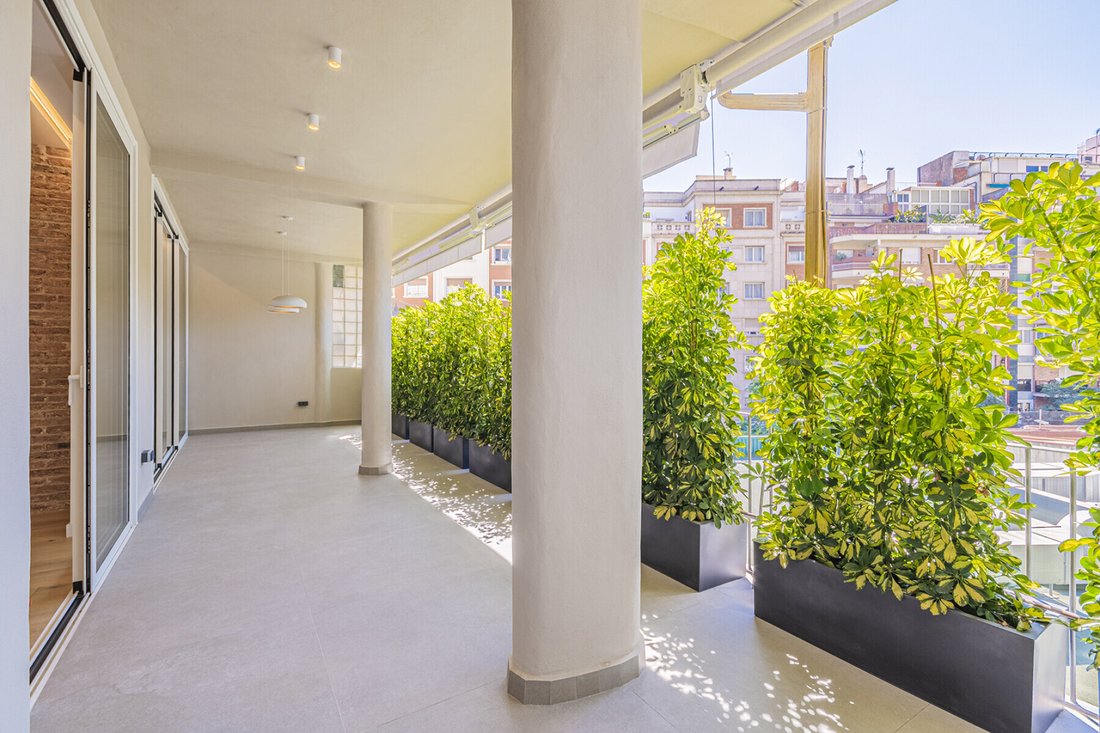 Apartment in Ciutat Vella, Barcelona, Spain 2 - 18249866