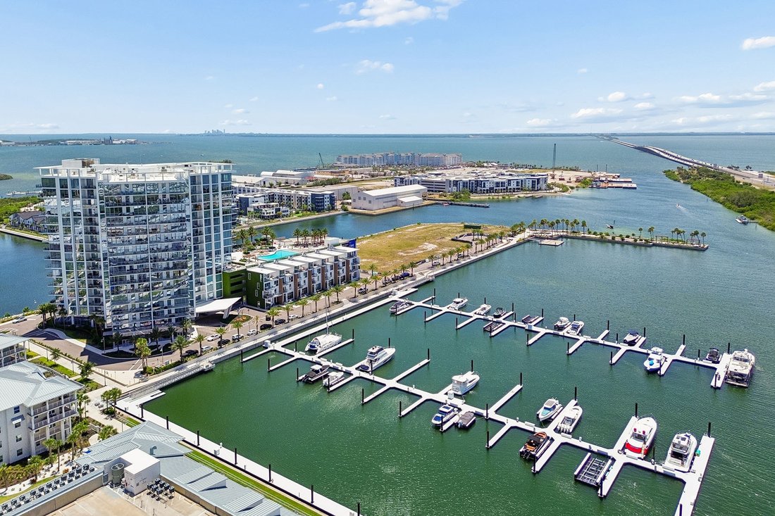 Condo in Tampa, Florida, United States 4 - 18249738