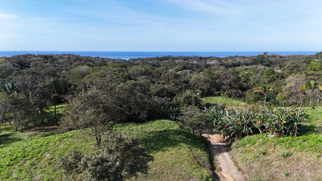 Land in Ostional, Guanacaste Province, Costa Rica 3 - 18249648