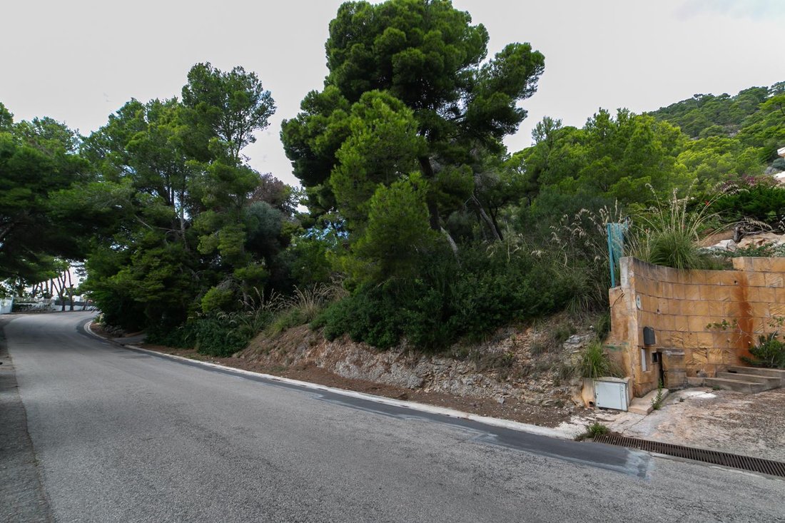 Land in Son Servera, Balearic Islands, Spain 3 - 18249781