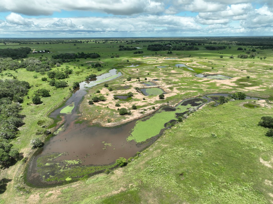Farm Ranch in Yoakum, Texas, United States 5 - 14948560