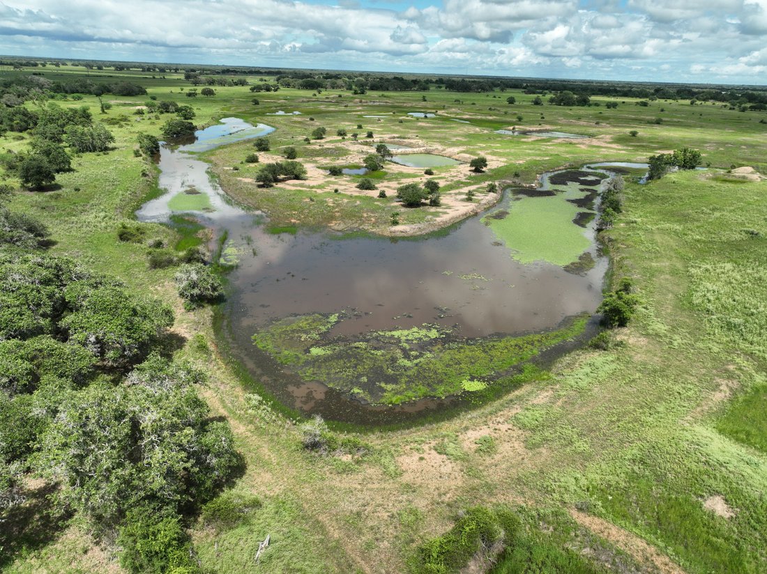 Farm Ranch in Yoakum, Texas, United States 1 - 14948560