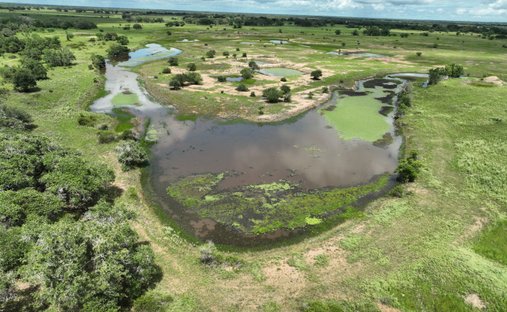 Farm Ranch in Yoakum, Texas, United States 1