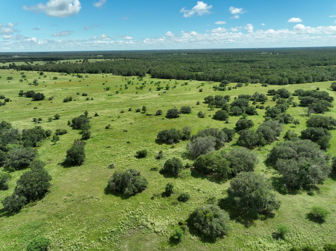 Farm Ranch in Yoakum, Texas, United States 4 - 14948560