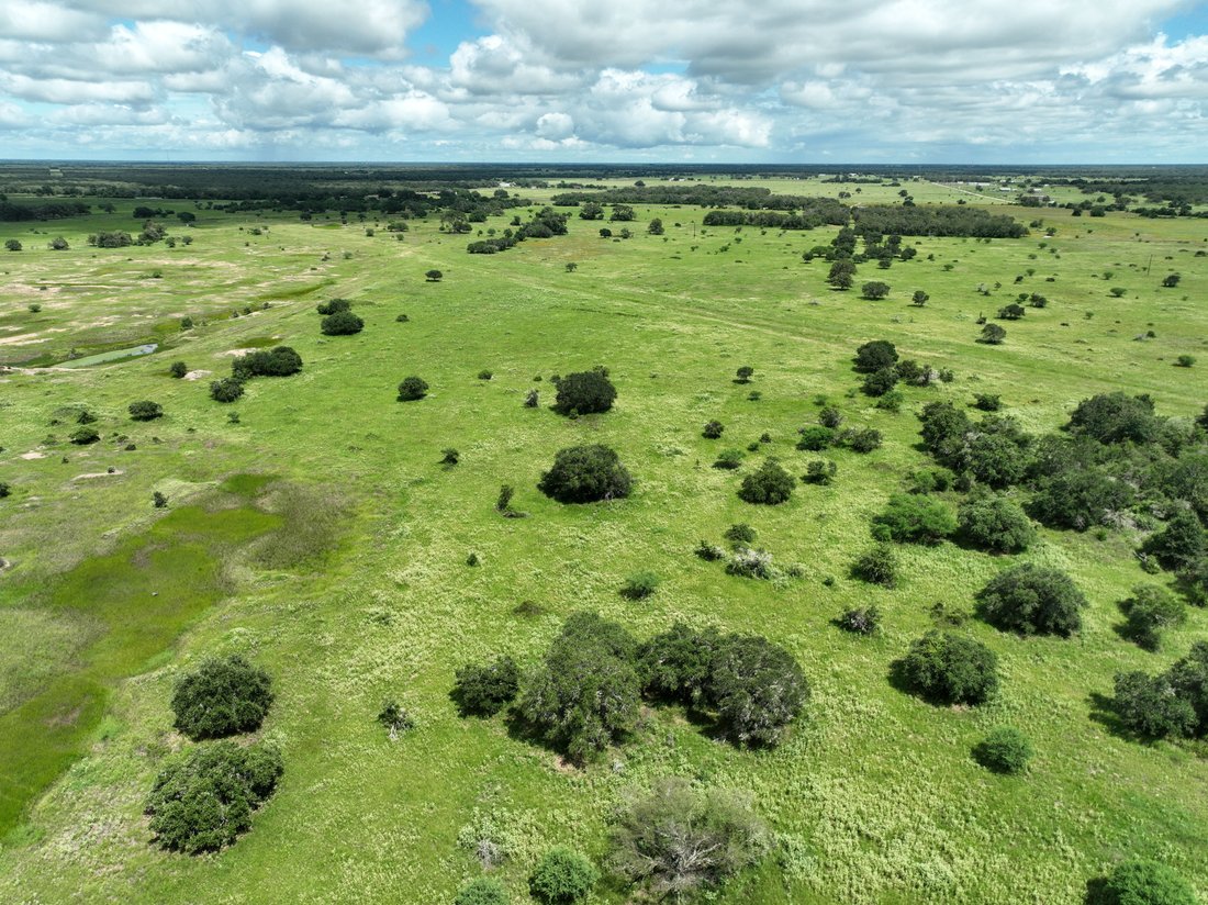 Farm Ranch in Yoakum, Texas, United States 3 - 14948560