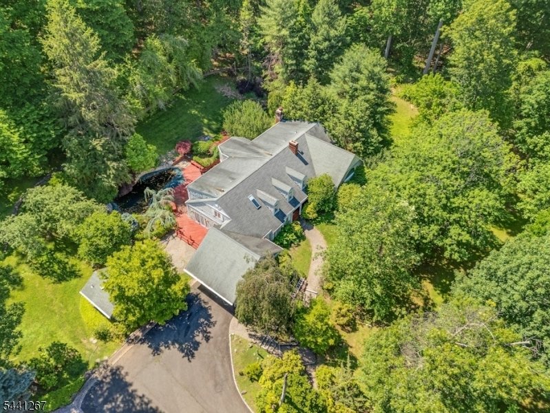 House in Watchung, New Jersey, United States 3 - 18249625