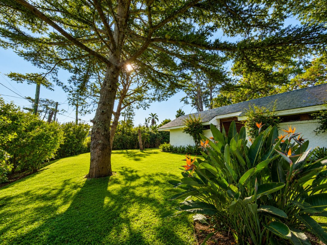 House in Punta del Este, Maldonado Department, Uruguay 2 - 18249892