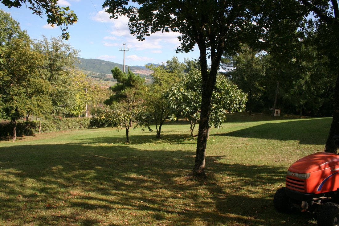 Villa in Bibbiena, Tuscany, Italy 4 - 18258019