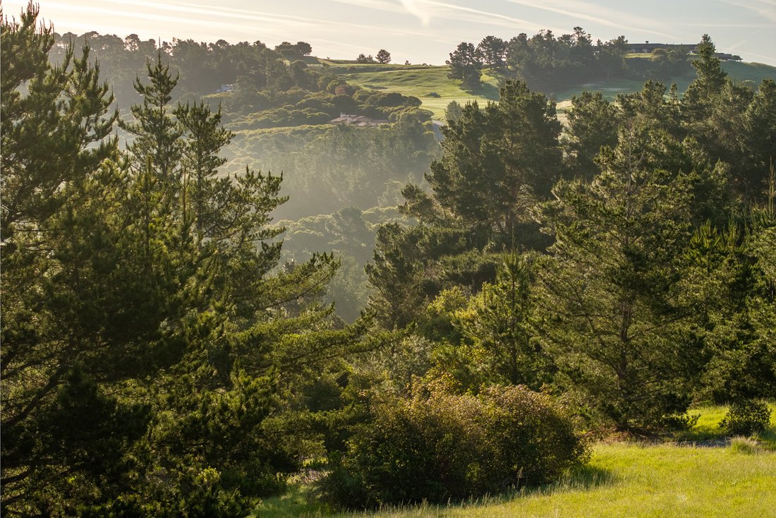 Land in Carmel-by-the-Sea, California, United States 3 - 18258069