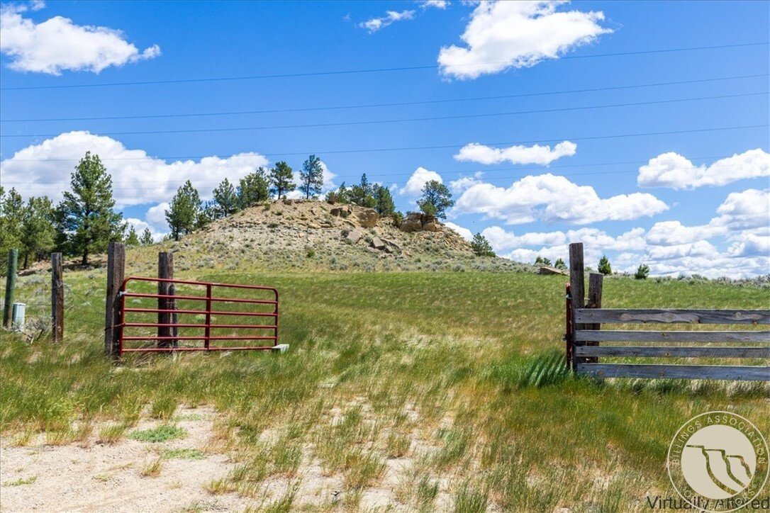 Farm Ranch in Roundup, Montana, United States 3 - 18254835