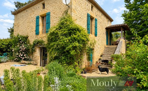 Estate in Prayssac, Occitania, France 1