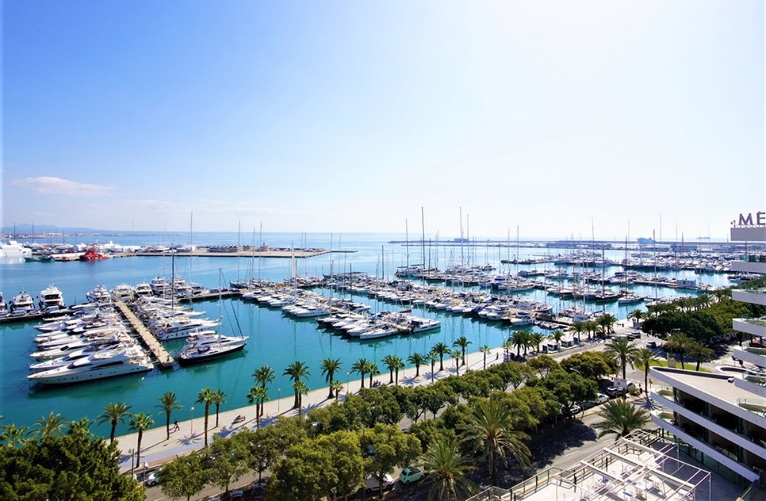 Apartment in Palma, Balearic Islands, Spain 1 - 18255617