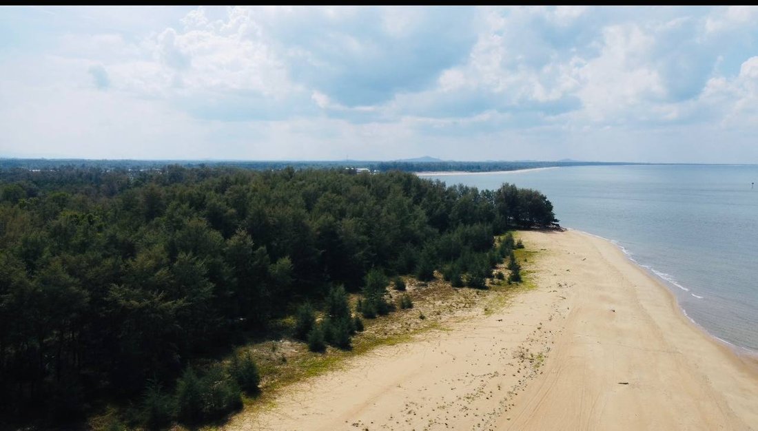 Land in Kuala Rompin, Pahang, Malaysia 1 - 18257489