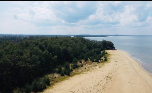 Land in Kuala Rompin, Pahang, Malaysia 1