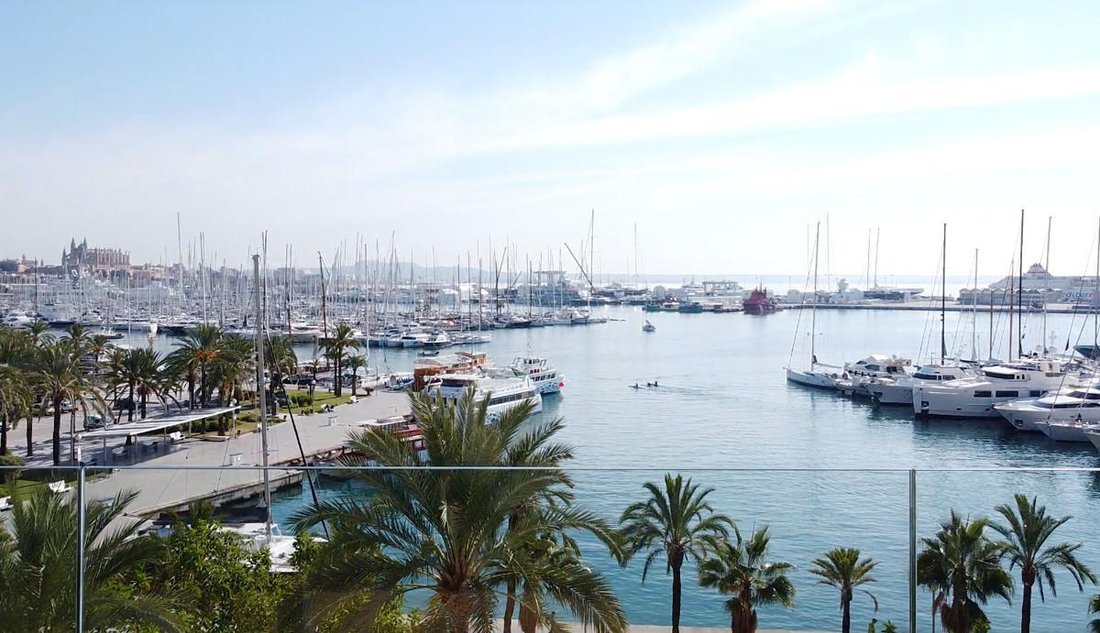 Apartment in Palma, Balearic Islands, Spain 1 - 18255448